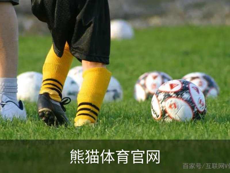 熊猫体育官网概况